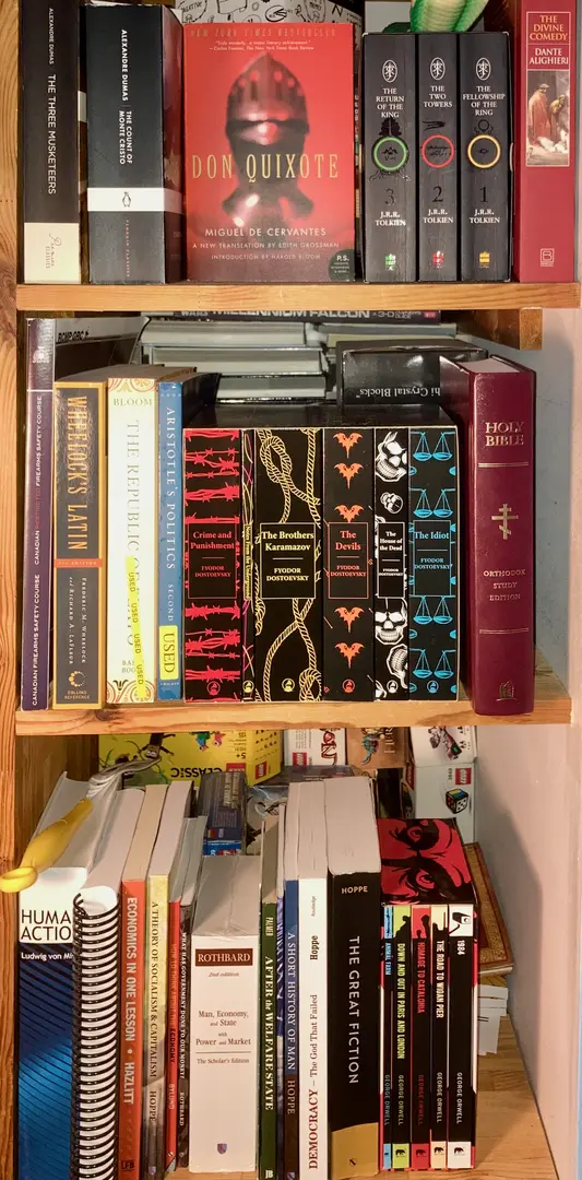 image of my library